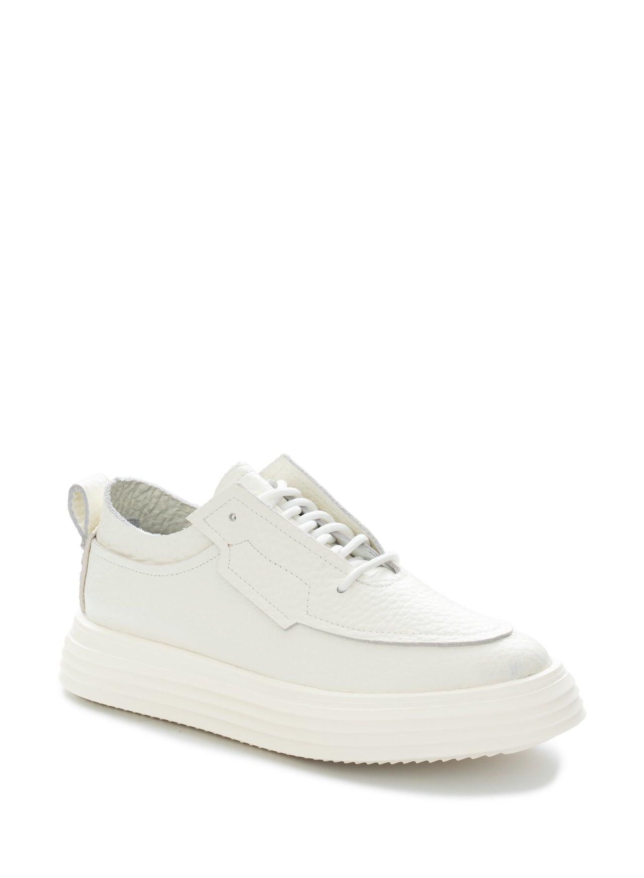 PAUL 583